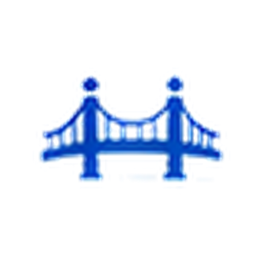 Connection icon